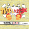テレビ朝日「かまいガチ」に「鮨 銀座おのでら 総本店」が登場