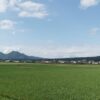 「日本経済新聞」などで「環境配慮米」導入に関する記事が紹介