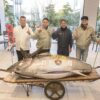 2025年豊洲市場マグロ初競り ONODERA GROUP が一番マグロ（276kg）を2億700万円で落札！
